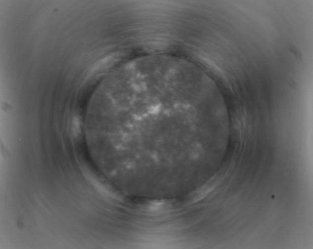 X0000090620130200708071233