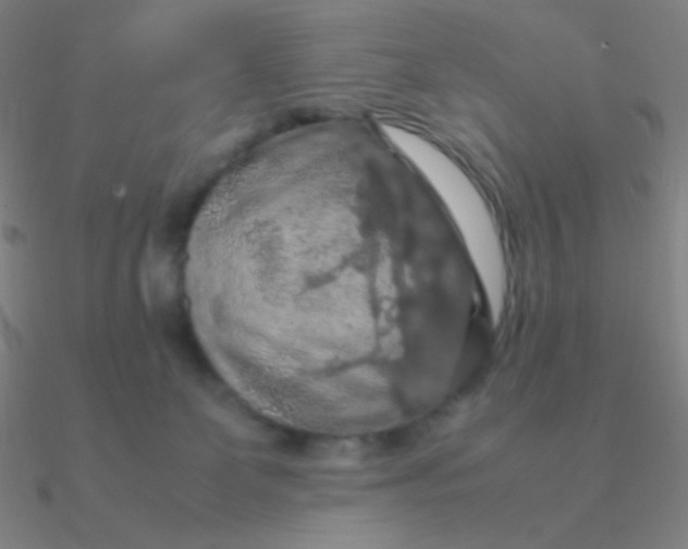 X0000090620131200708071233