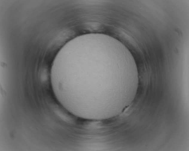 X0000090620132200708071233