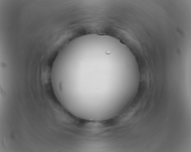 X0000090620133200708071233