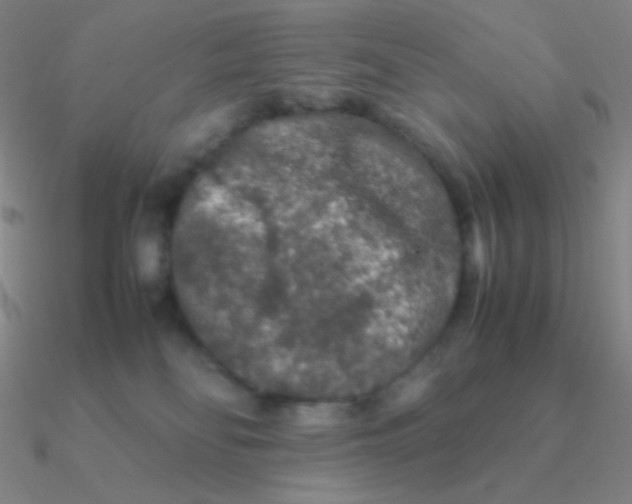 X0000090620134200708071233