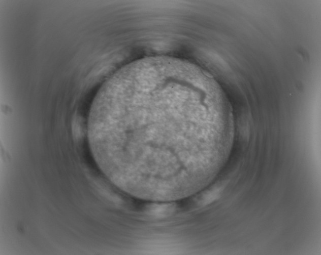 X0000090620135200708071233