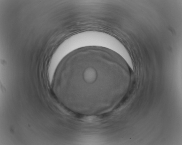 X0000090620137200708071233