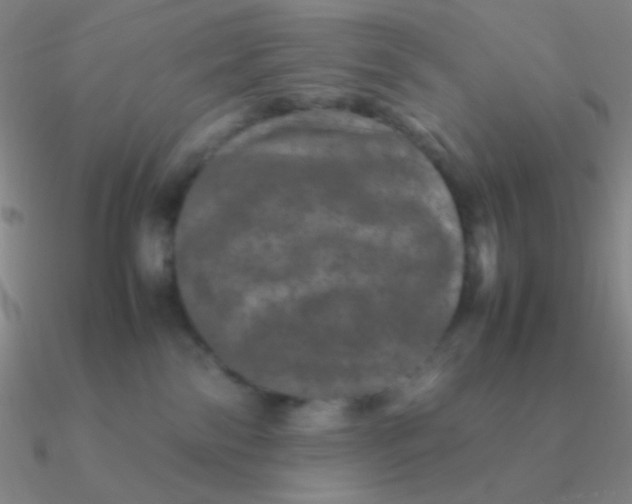 X0000090620138200708071233