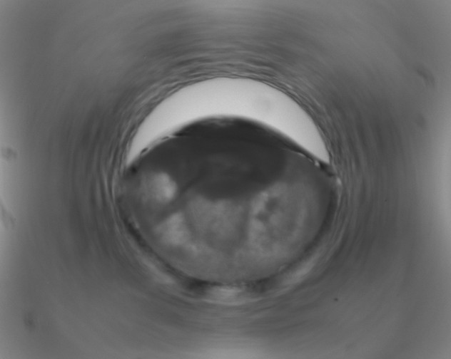 X0000090620139200708071233