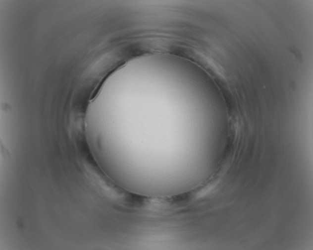 X0000090620141200708071233