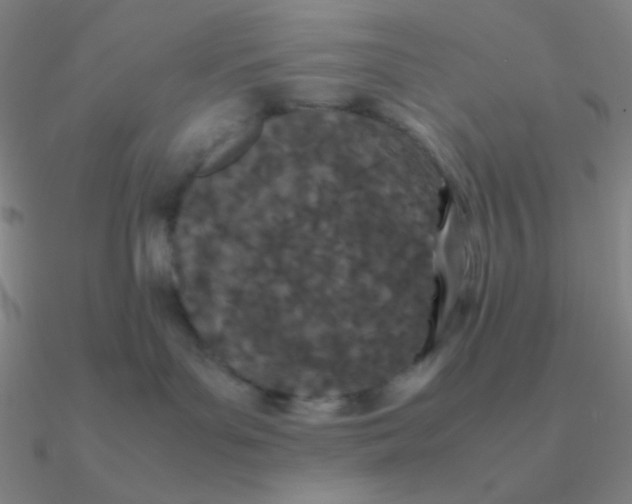 X0000090620143200708071233