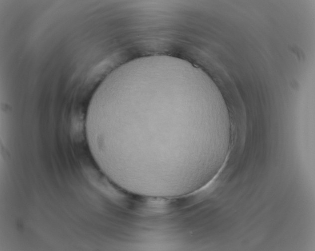 X0000090620144200708071233