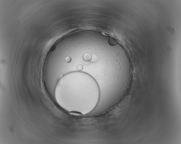 X0000090620145200708071232