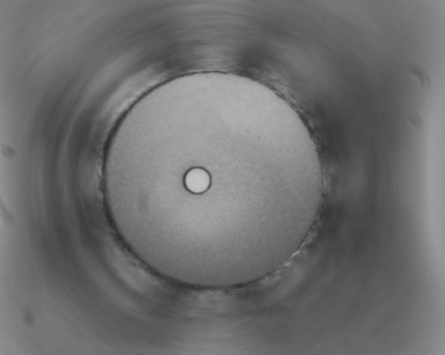 X0000090620146200708071232