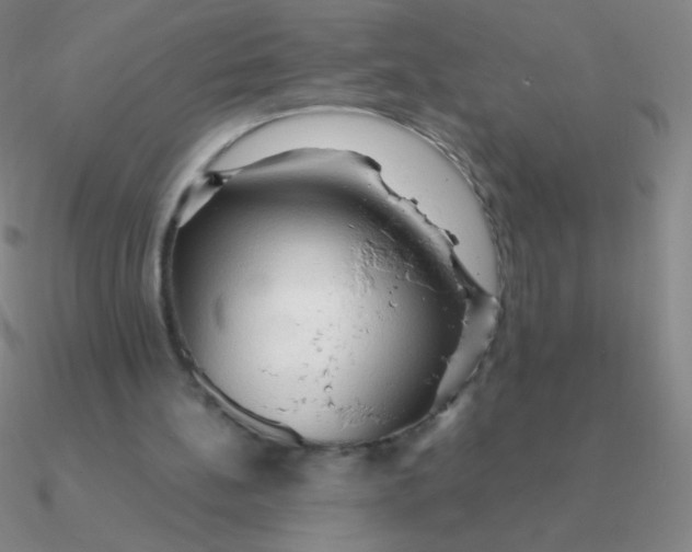 X0000090620148200708071232