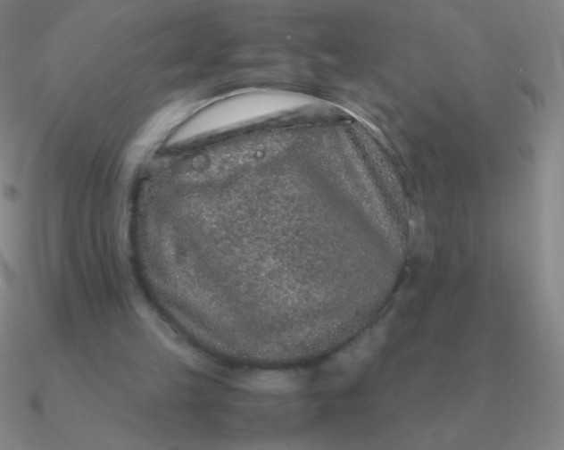 X0000090620149200708071232