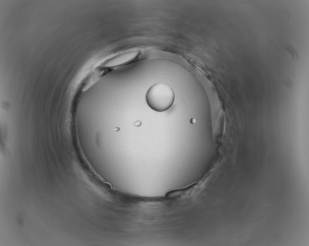 X0000090620150200708071232