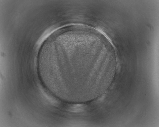 X0000090620151200708071232