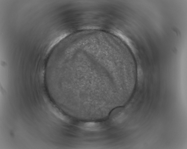 X0000090620153200708071232