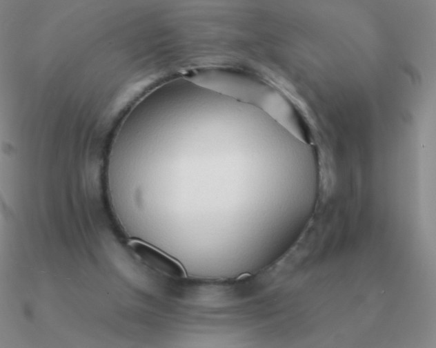 X0000090620154200708071232