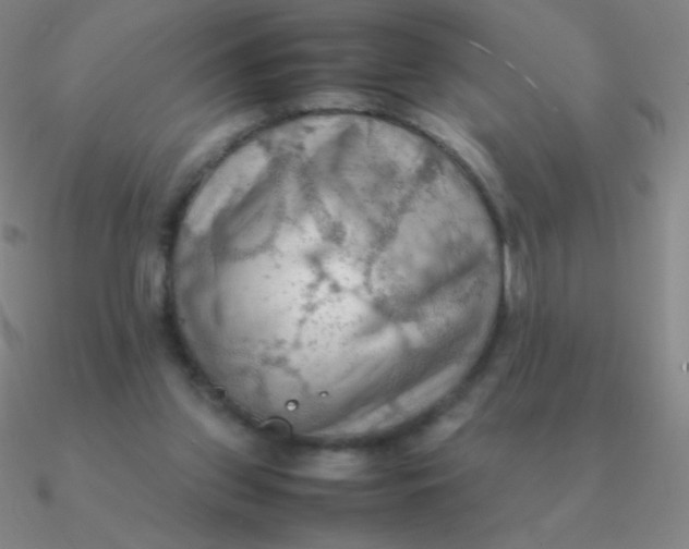 X0000090620157200708071232