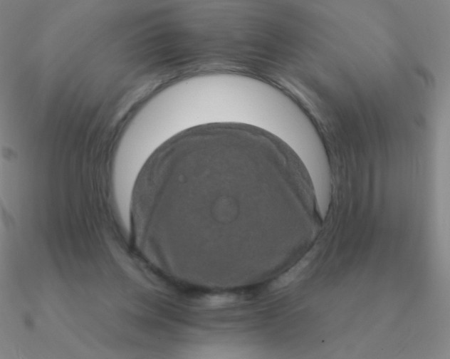 X0000090620158200708071232