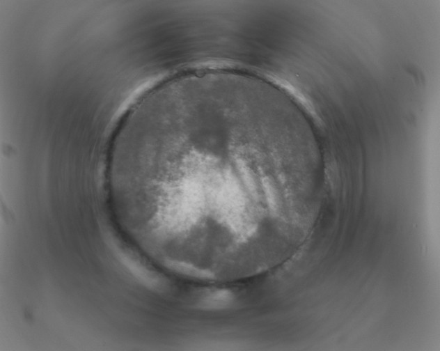 X0000090620159200708071232