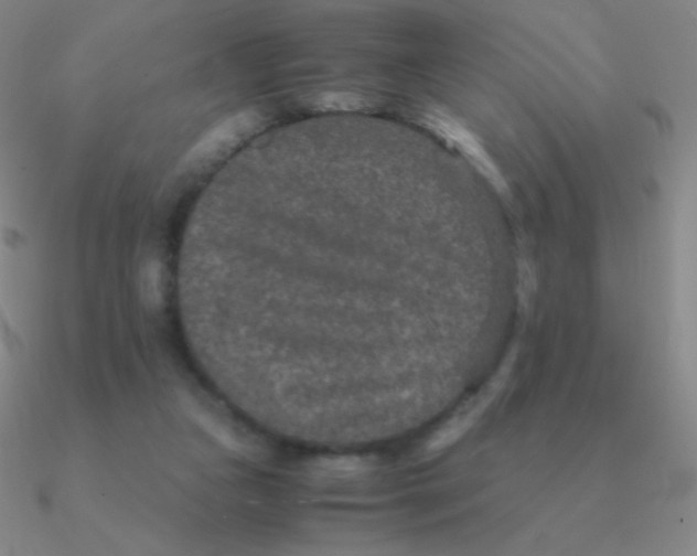 X0000090620161200708071232