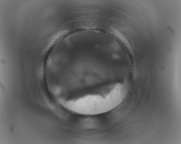 X0000090620163200708071232