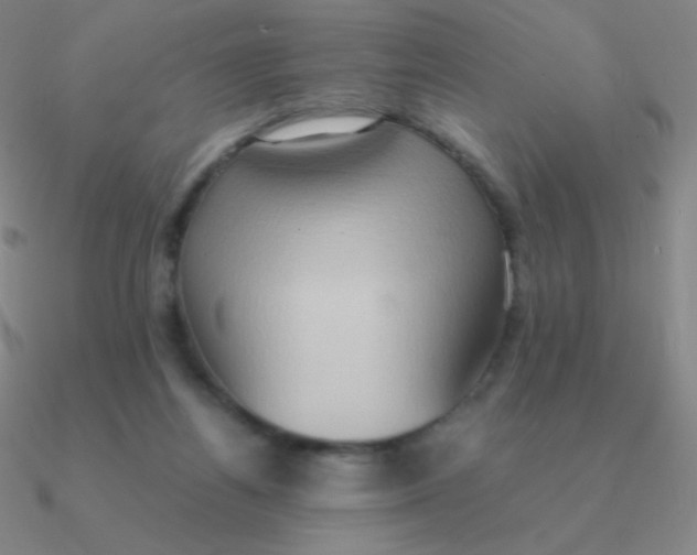 X0000090620164200708071232