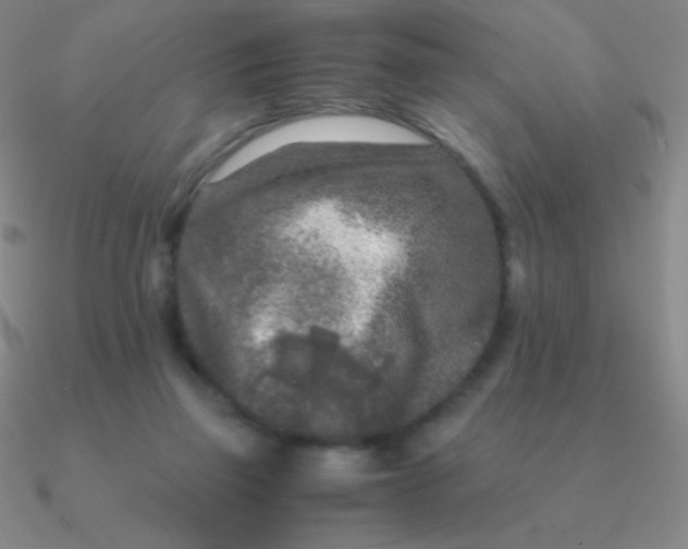 X0000090620165200708071232