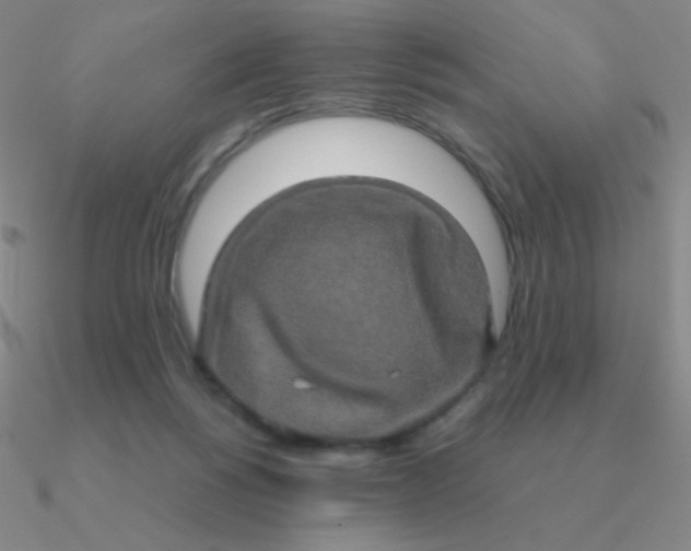 X0000090620168200708071232