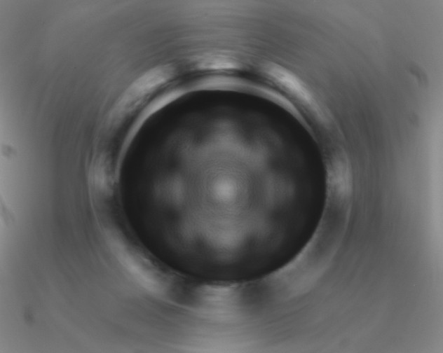 X0000090620170200708071232