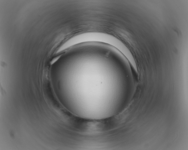 X0000090620172200708071232