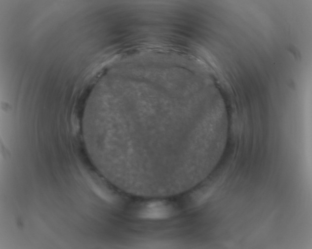 X0000090620173200708071232