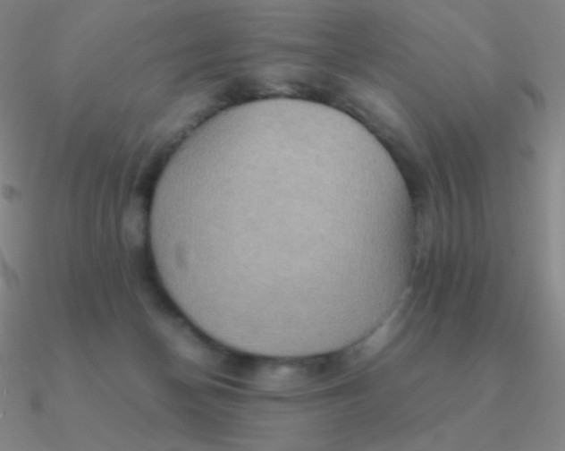 X0000090620174200708071232