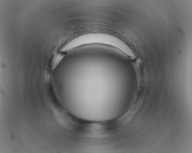 X0000090620176200708071232