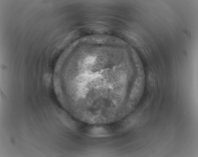 X0000090620177200708071232