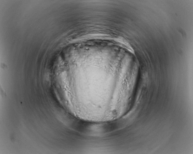 X0000090620178200708071232