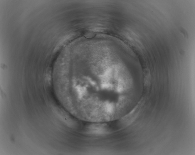 X0000090620179200708071232