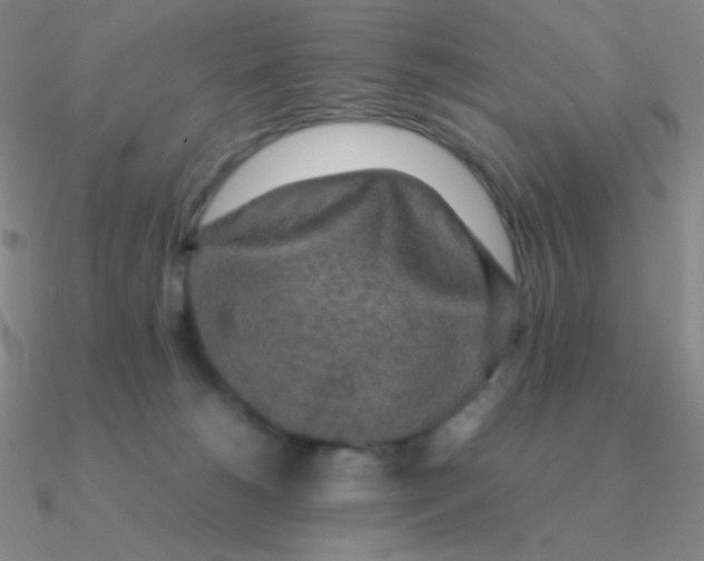 X0000090620180200708071232