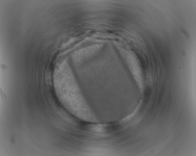 X0000090620182200708071232