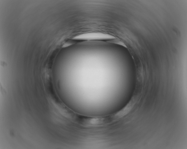 X0000090620184200708071232