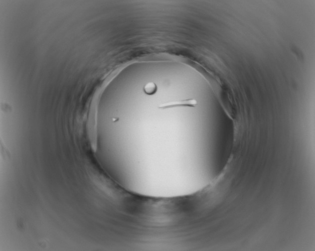 X0000090620186200708071233