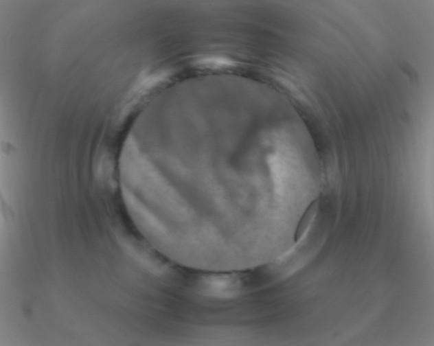 X0000090620187200708071233