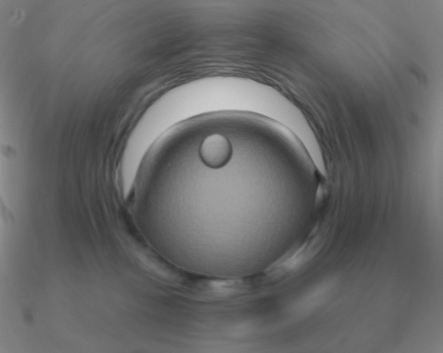 X0000090620188200708071233