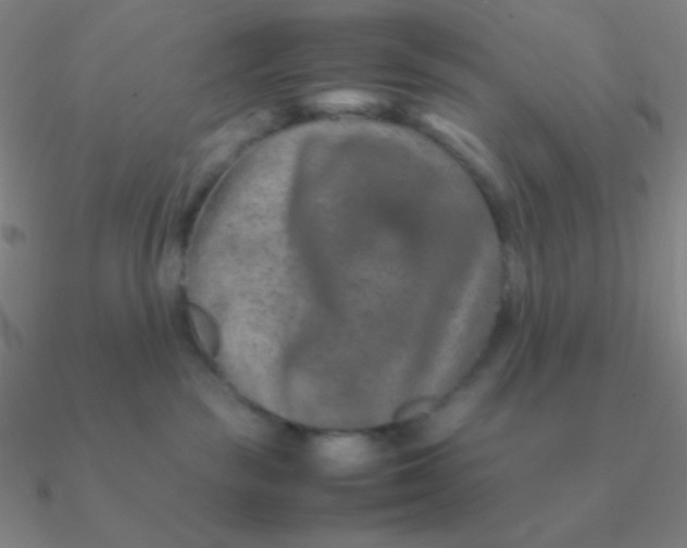 X0000090620189200708071233