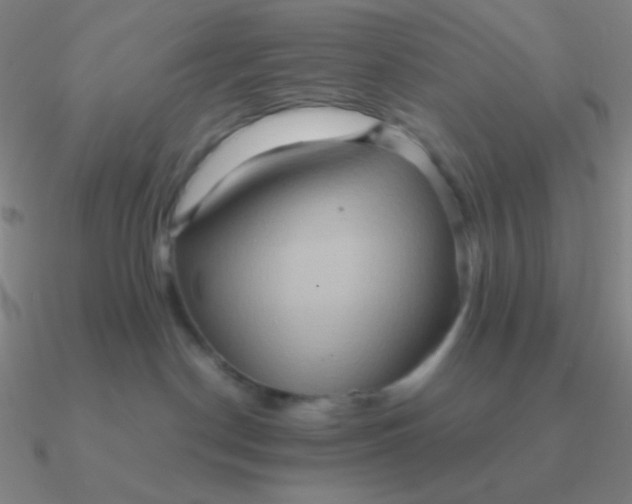 X0000090620190200708071233