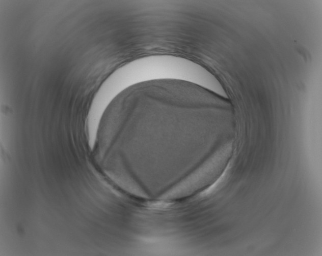 X0000090620192200708071233