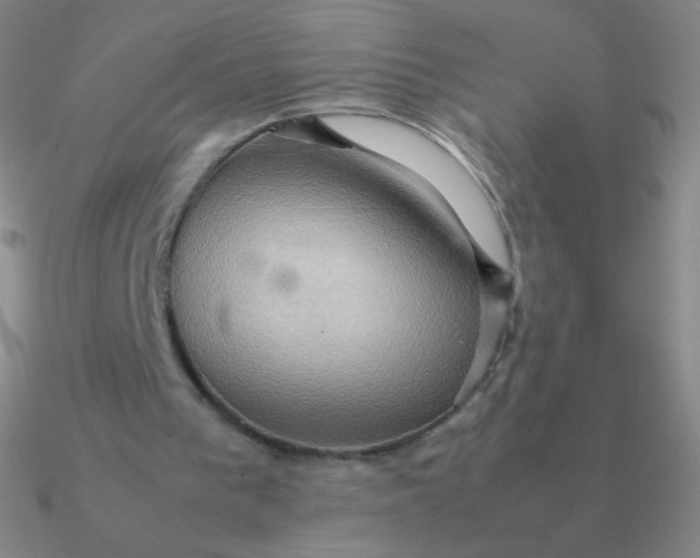 X0000090620193200708071232