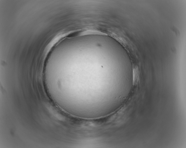 X0000090620195200708071232