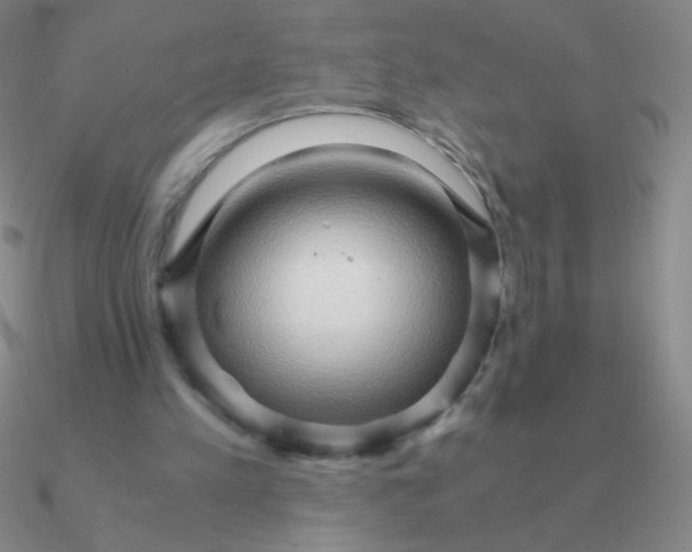 X0000090620197200708071232