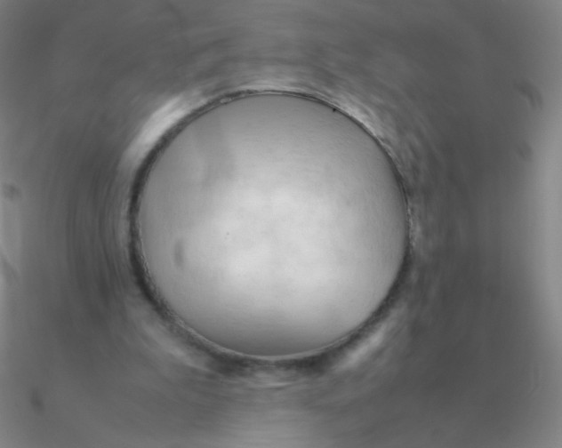 X0000090620199200708071232