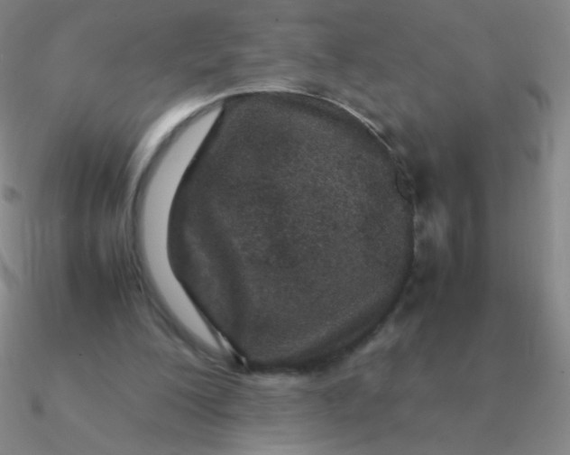 X0000090620200200708071232